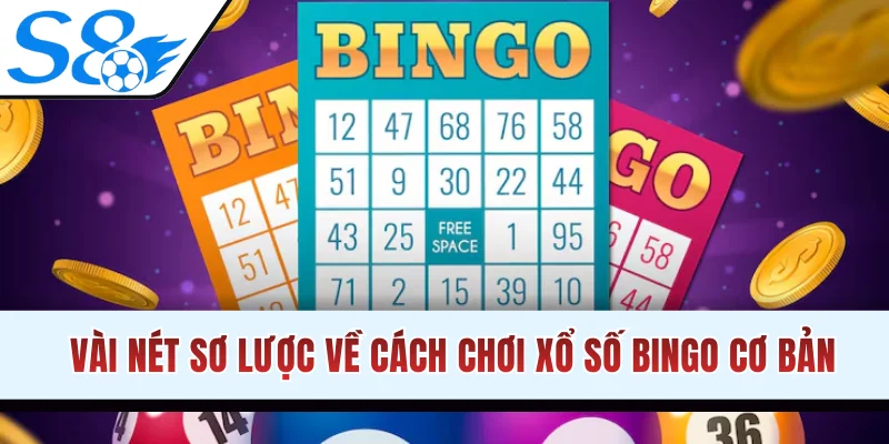 Vài nét sơ lược về cách chơi xổ số Bingo cơ bản